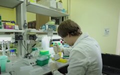 Коронавирус в Украине