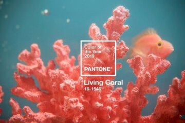 живой коралл