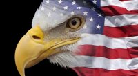 США