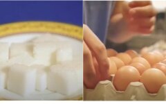 Цены на продукты в Украине, цены на сахар, цены на яйца