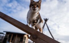 Прогноз погоды в Украине / Фото: Getty Images