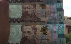 Грошова допомога єДопомога, виплати від міжнародних організацій