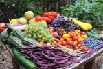 Фрукты и овощи, дефицит, Алексей КУщ