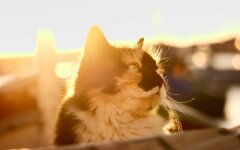 Прогноз погоди в Україні / Фото: Unsplash