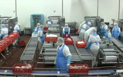 ПФУ утвердил новый показатель зарплаты для расчета пенсий