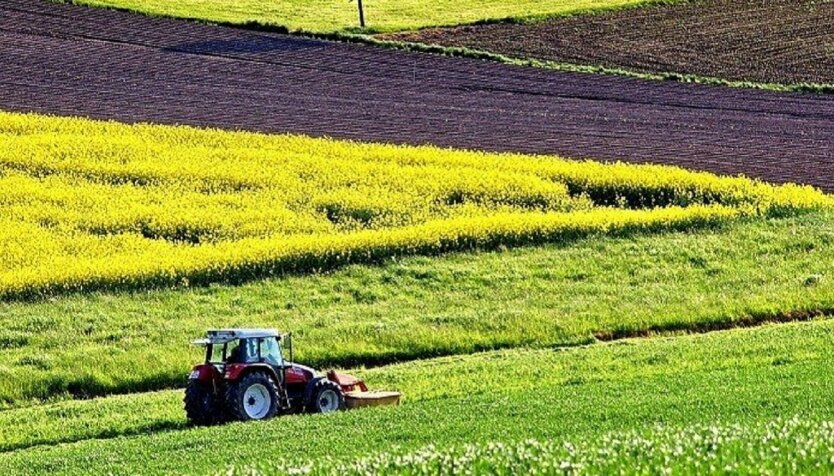 Развитие малого фермерства в Украине,Денис Шмыгаль,детенизация производства сельхозпродукции