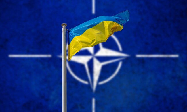 Украина и НАТО