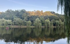 Прогноз погоди в Україні / Фото: Фейсбук Діденко