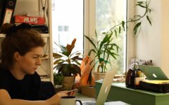 Работа, работодатель, трудоустройство