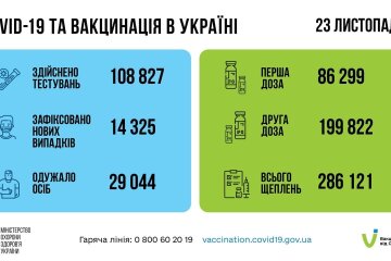 Статистика по коронавирусу на утро 24 ноября