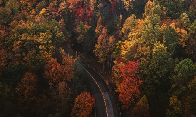 Прогноз погоды в Украине / Фото Unsplash