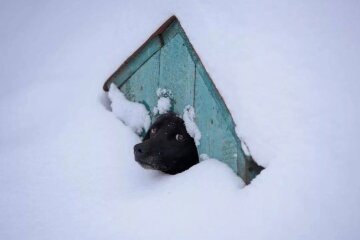 Прогноз погоды в Украине