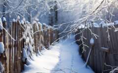 Прогноз погоды в Украине / Коллаж 24 Канала