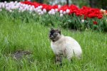 Прогноз погоды в Украине / Фото: УНИАН