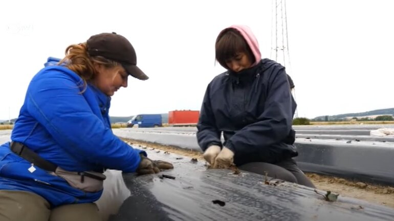 Заробитчане