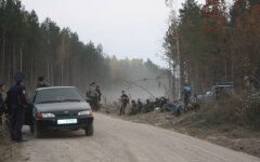 янтарная мафия