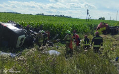 ДТП в Ровенской области