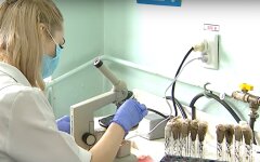 коронавирус, коронавирус в Украине