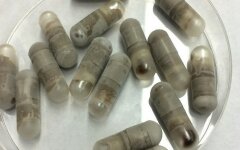 банк фекалий