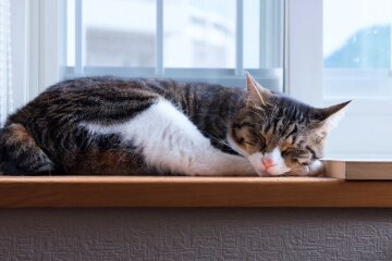 Прогноз погоды в Украине