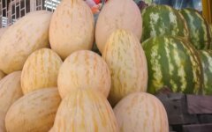 Ціни на дині та кавуни в Україні