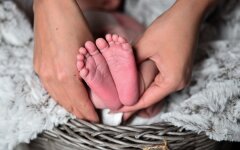 еЯсла в Україні