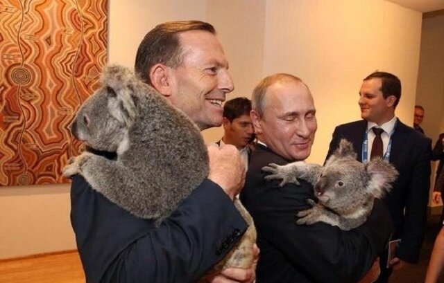 Владимир Путин и коала