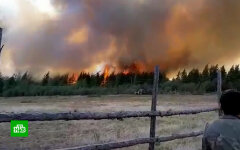 Лесные пожары в России