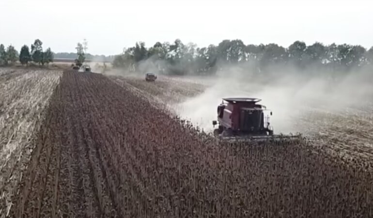 Рынок земли в украине, продажа земли