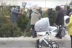 В Киеве стартовала официальная продажа новогодних елок: перечень адресов