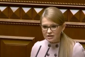 Юлия Тимошенко, коррупция, Владимир Зеленский