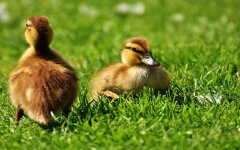 Прогноз погоды в Украине / Фото: pixabay