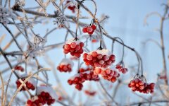 Прогноз погоди в Україні / Фото: pixabay