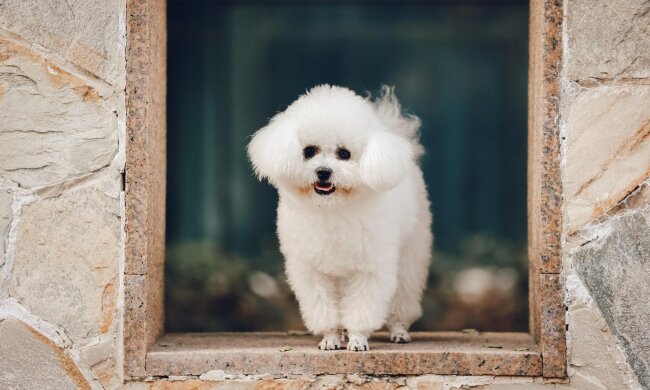 Прогноз погоды в Украине  / Фото: Pixabay