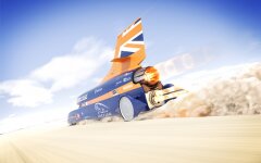 BLOODHOUND