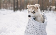 Прогноз погоды в Украине / Фото Depositphotos