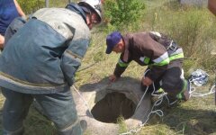 русаки колодец