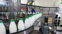 Виробництво молока