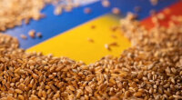 Зерновое соглашение / Фото: slovoidilo.ua