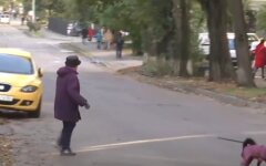 Домашние животные, штрафы, наказания