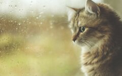 Прогноз погоди у вересні