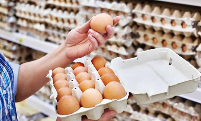 Ціни на курячі яйця