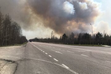 Лесной пожар в Украине в Ровенской области. Фото Юрия Романенко