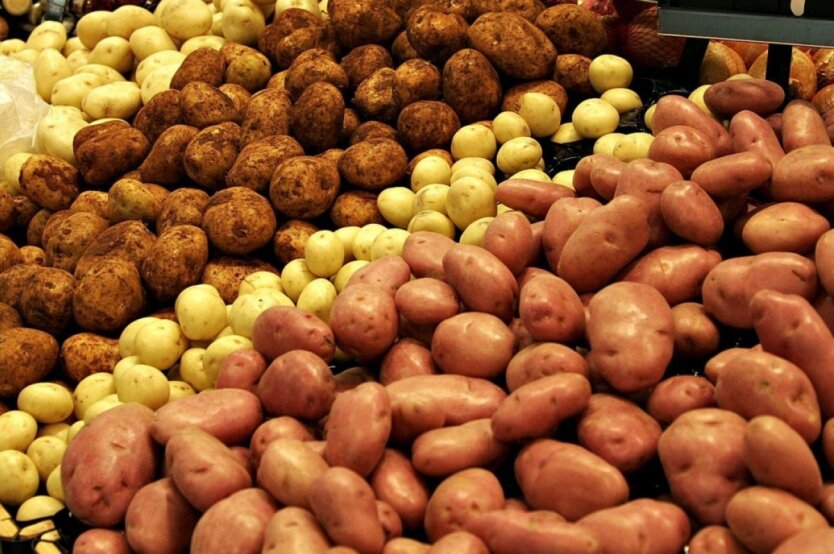 Ціни на картоплю