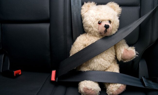 Ремень безопасности