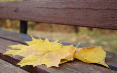 Погода в Україні