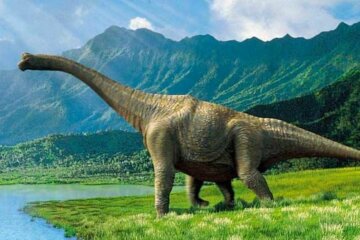 dinozavr_zauropod