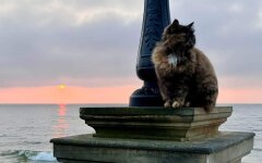 Прогноз погоды в Украине