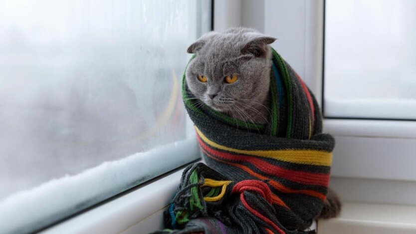 Прогноз погоди взимку