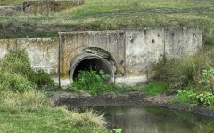 Пойменная территория, Вашковецкая ТГ, Черновицкая область
